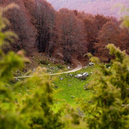 Appartamento A Campo Felice - Treeffe Collimento Zewnętrze zdjęcie