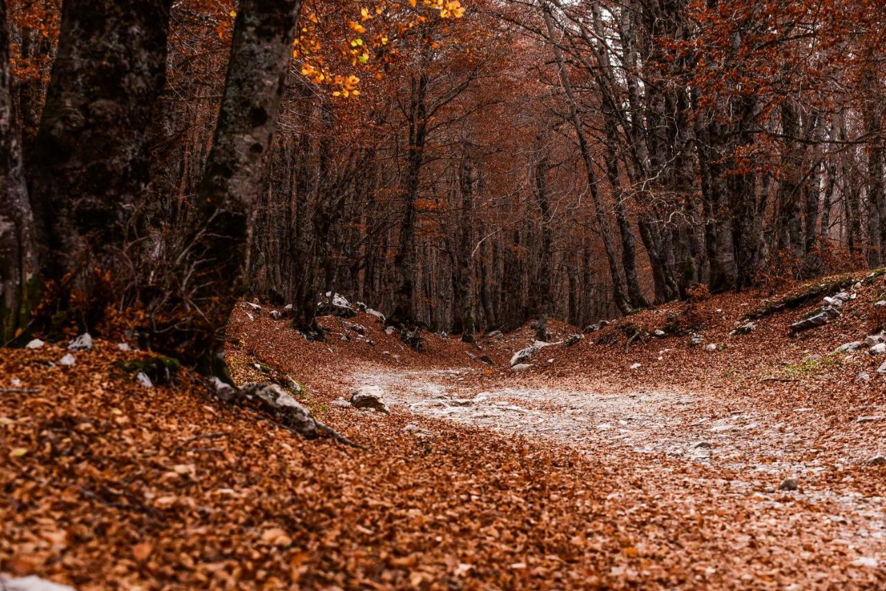 Appartamento A Campo Felice - Treeffe Collimento Zewnętrze zdjęcie